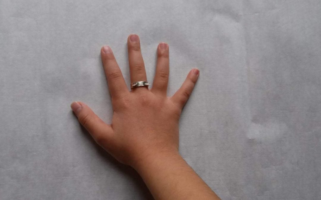 Anillo Gato