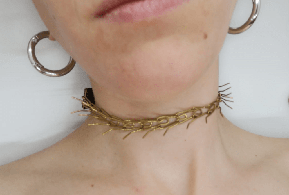 Collar de Perro